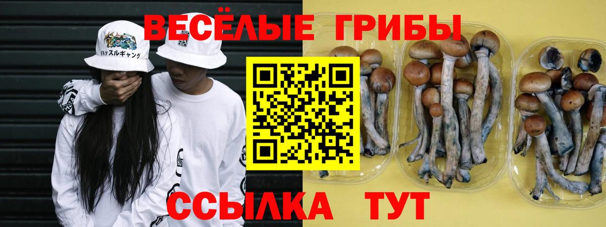Феодосия  Галлюциногенные грибы Cubensis  цены наркотик  Вход с VPN 